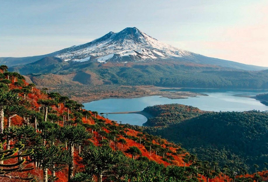 Conguillío National Park, Araucanía Region, Chile